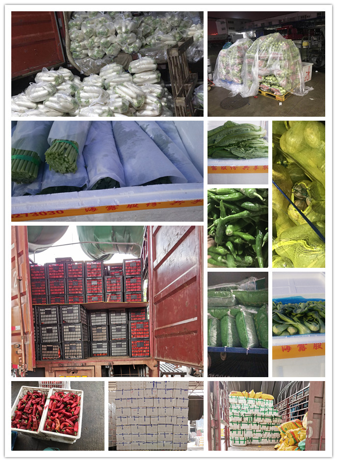 首页| PA视讯集团中国官方网站