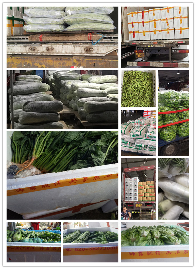 首页| PA视讯集团中国官方网站