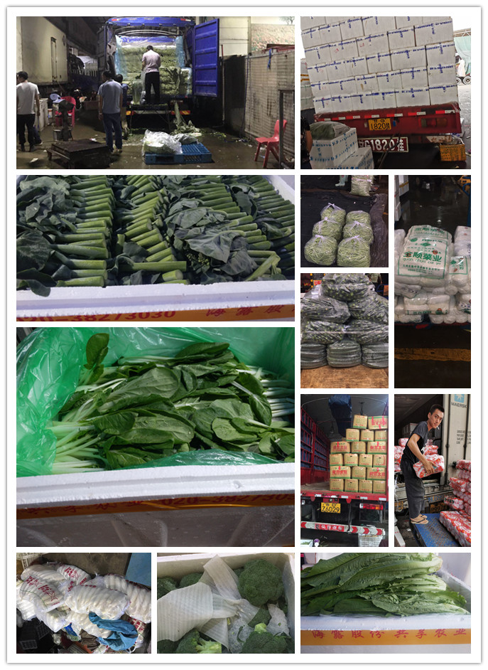 首页| PA视讯集团中国官方网站