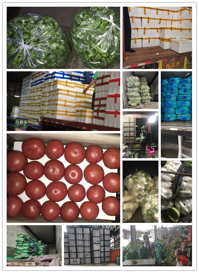 首页| PA视讯集团中国官方网站