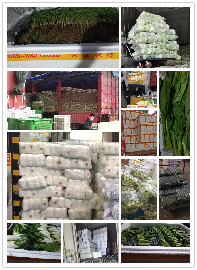 首页| PA视讯集团中国官方网站