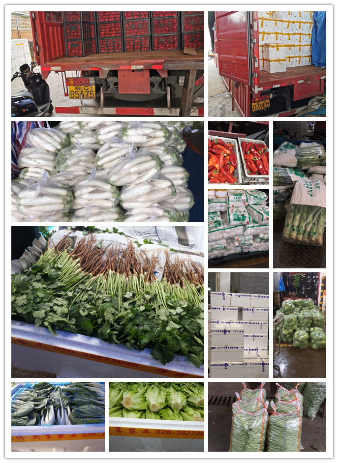 首页| PA视讯集团中国官方网站