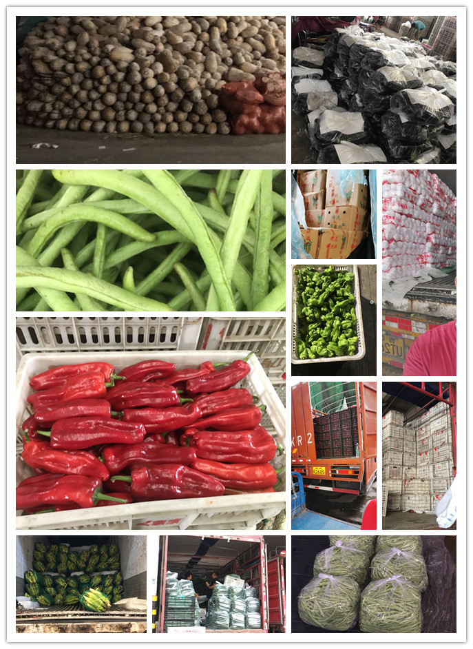 首页| PA视讯集团中国官方网站