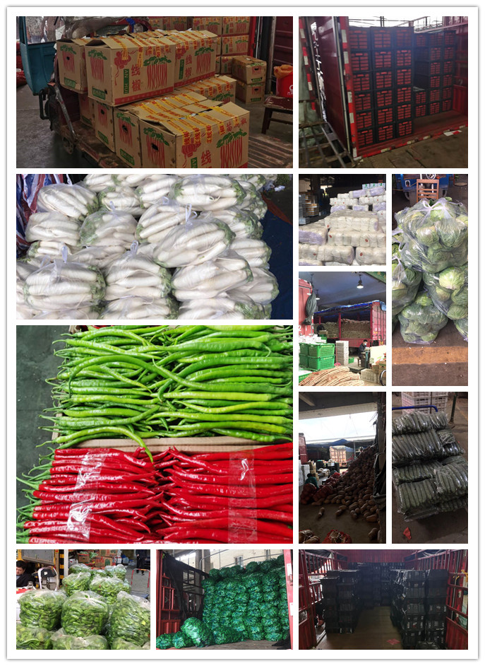 首页| PA视讯集团中国官方网站