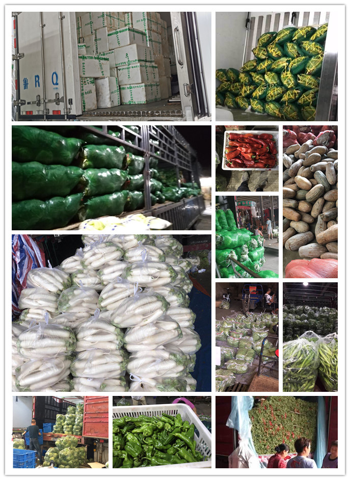 首页| PA视讯集团中国官方网站