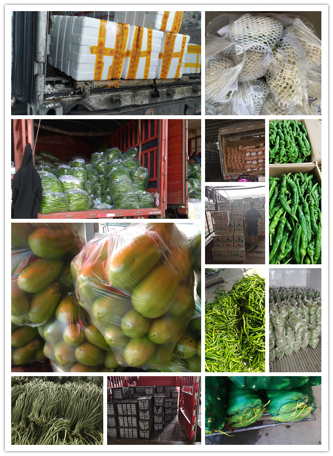 首页| PA视讯集团中国官方网站