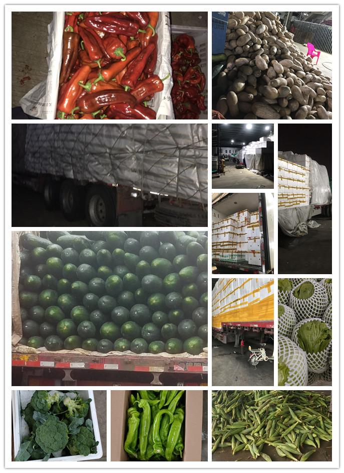 首页| PA视讯集团中国官方网站