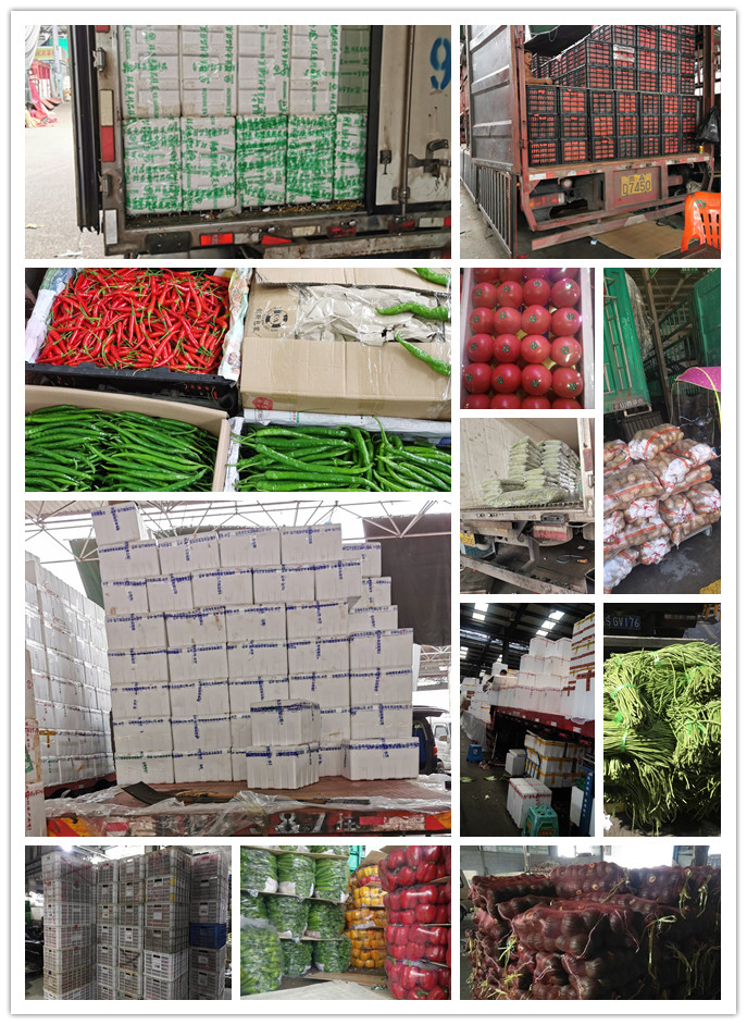 首页| PA视讯集团中国官方网站