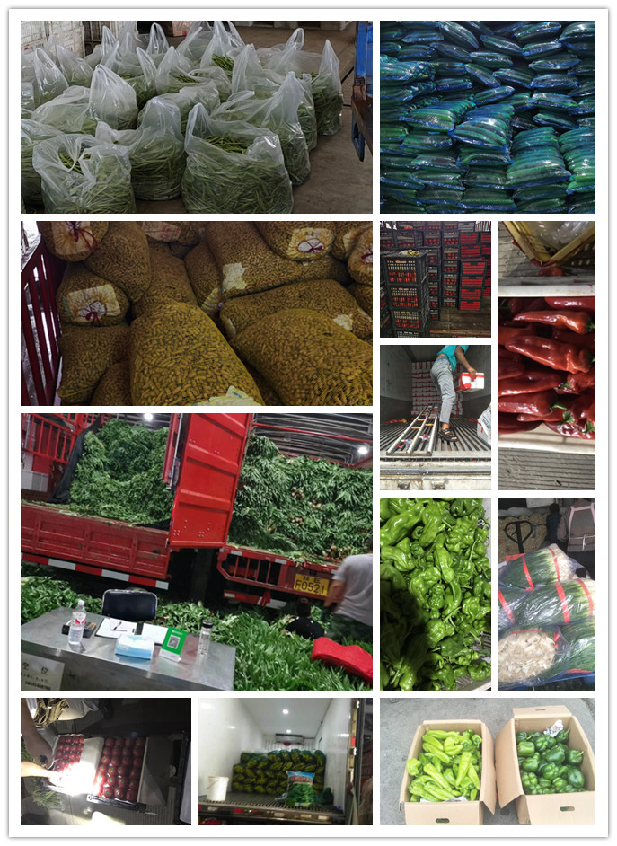 首页| PA视讯集团中国官方网站