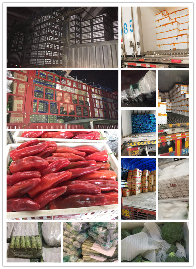 首页| PA视讯集团中国官方网站