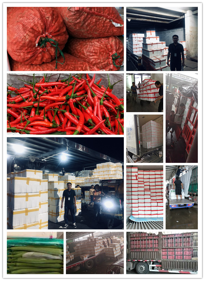 首页| PA视讯集团中国官方网站