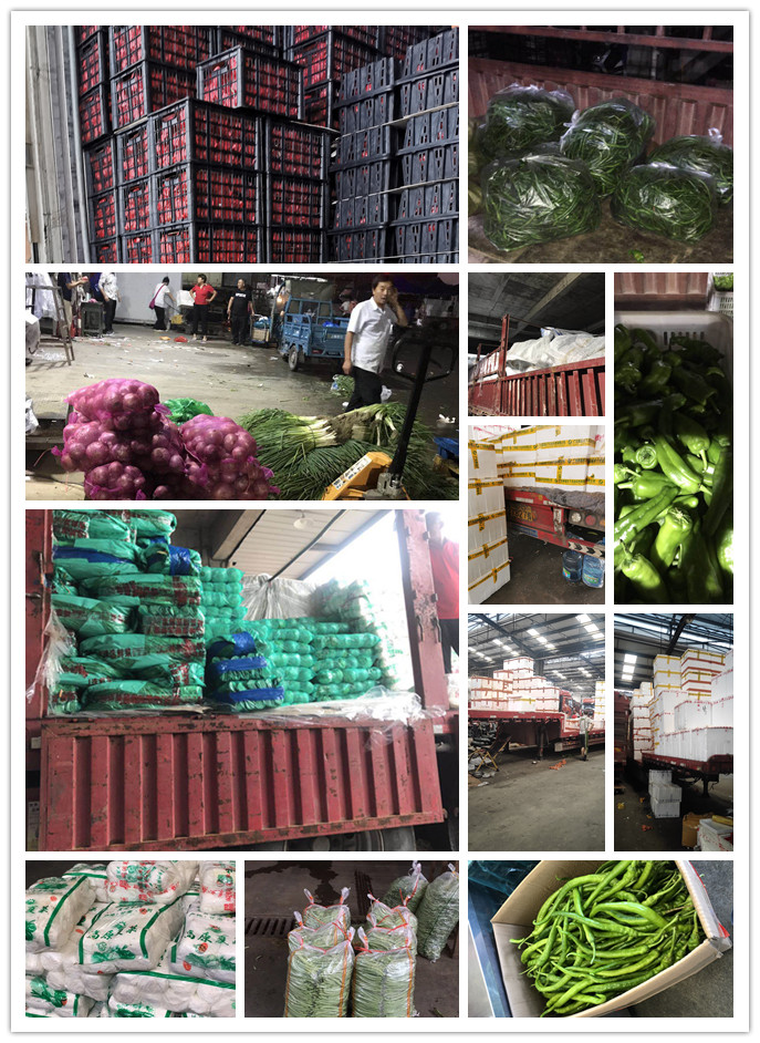 首页| PA视讯集团中国官方网站