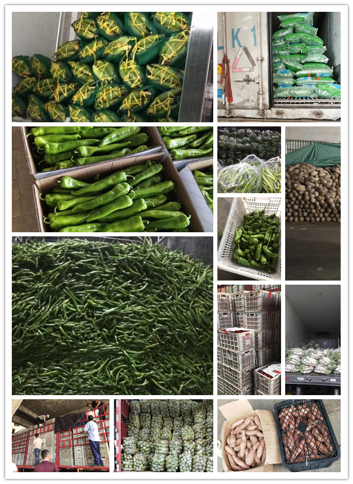 首页| PA视讯集团中国官方网站