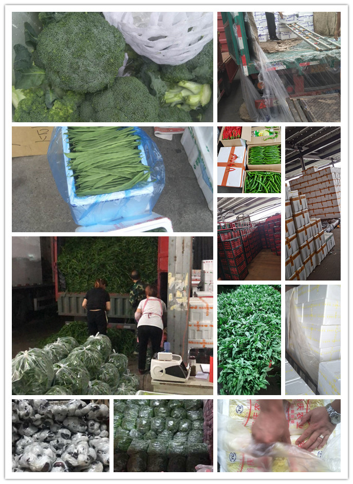 首页| PA视讯集团中国官方网站