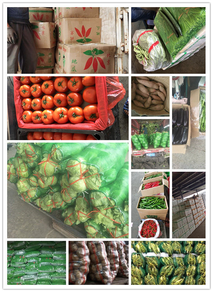 首页| PA视讯集团中国官方网站