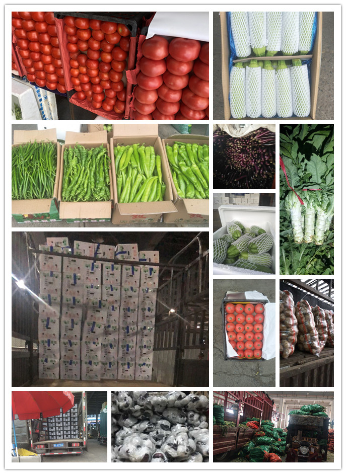 首页| PA视讯集团中国官方网站