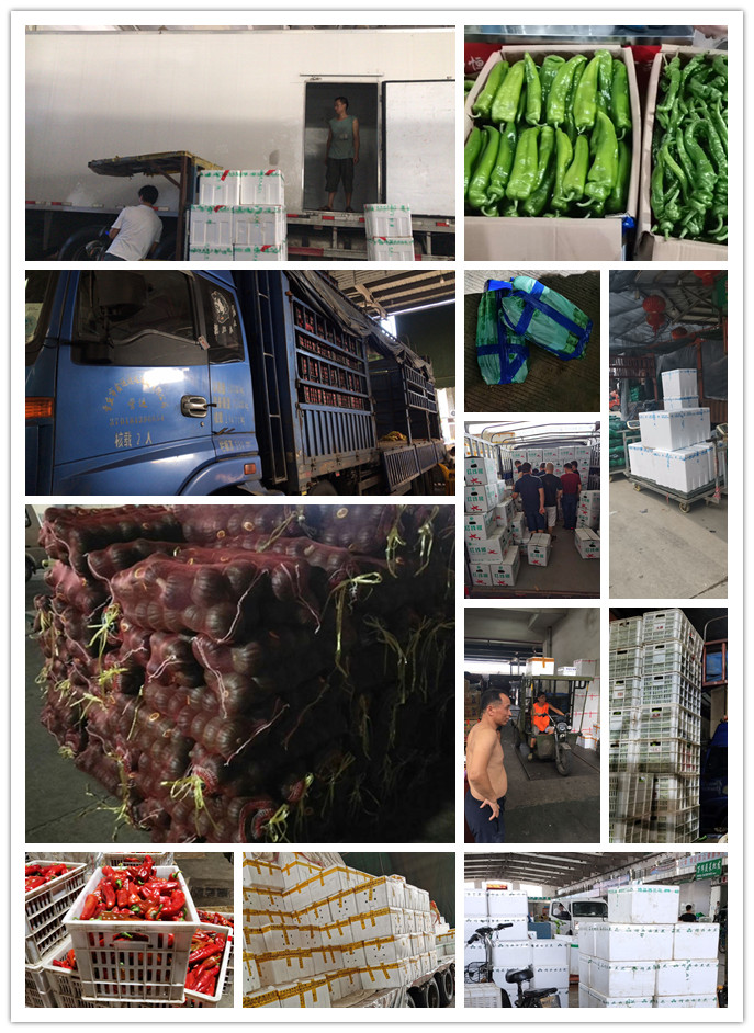 首页| PA视讯集团中国官方网站