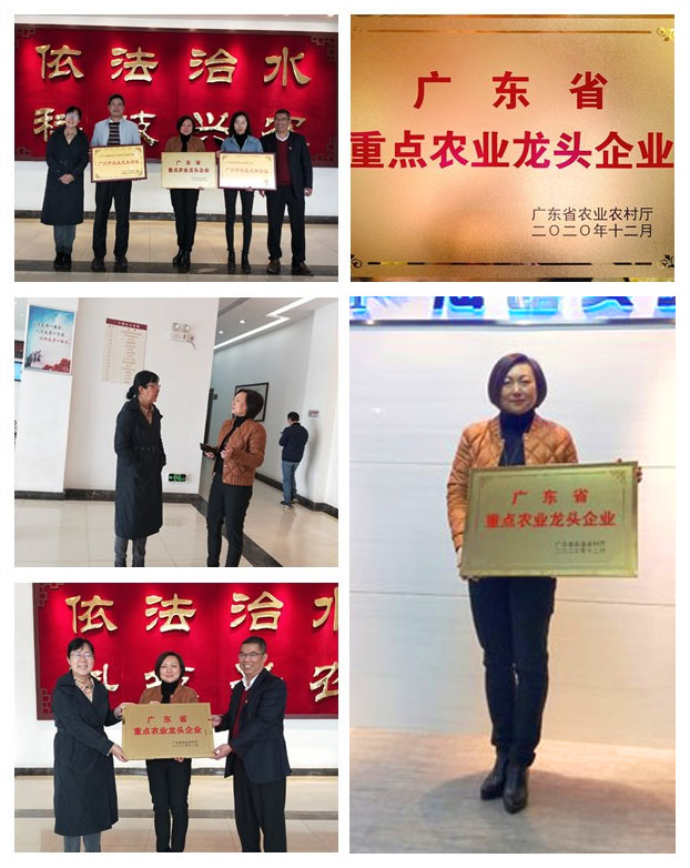 首页| PA视讯集团中国官方网站