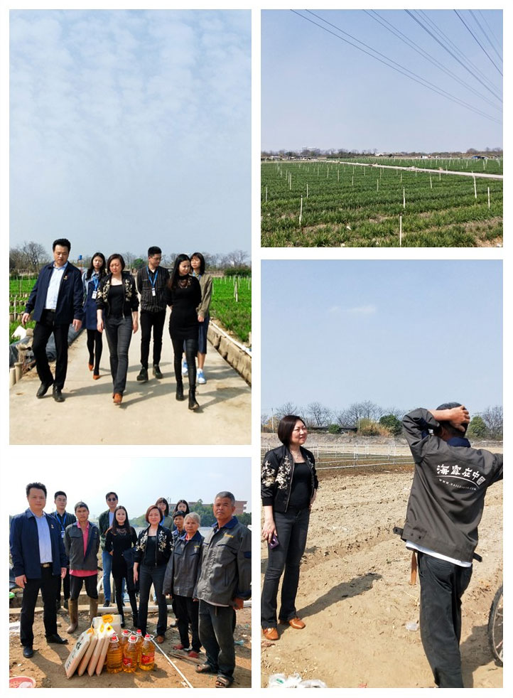 首页| PA视讯集团中国官方网站