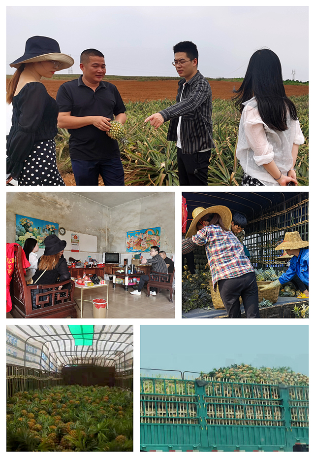 首页| PA视讯集团中国官方网站