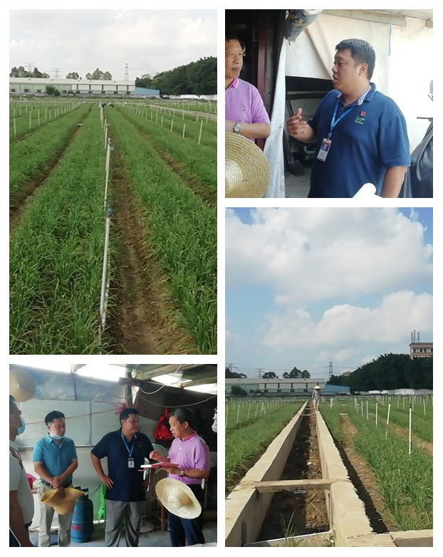 首页| PA视讯集团中国官方网站