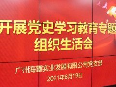 集团党支部开展党史学习教育专题组织生涯会