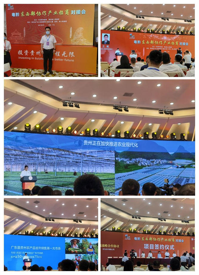 首页| PA视讯集团中国官方网站