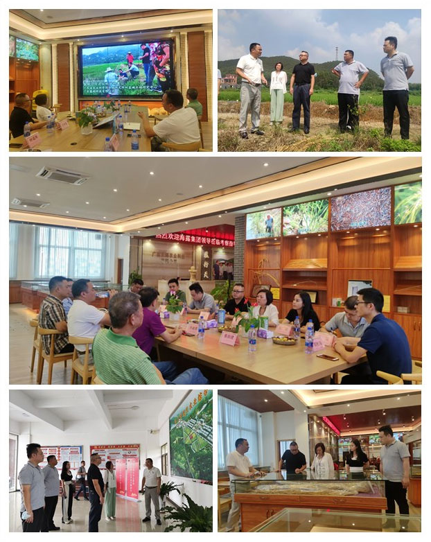 首页| PA视讯集团中国官方网站