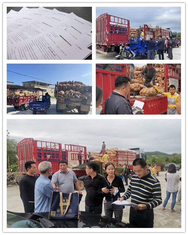 首页| PA视讯集团中国官方网站