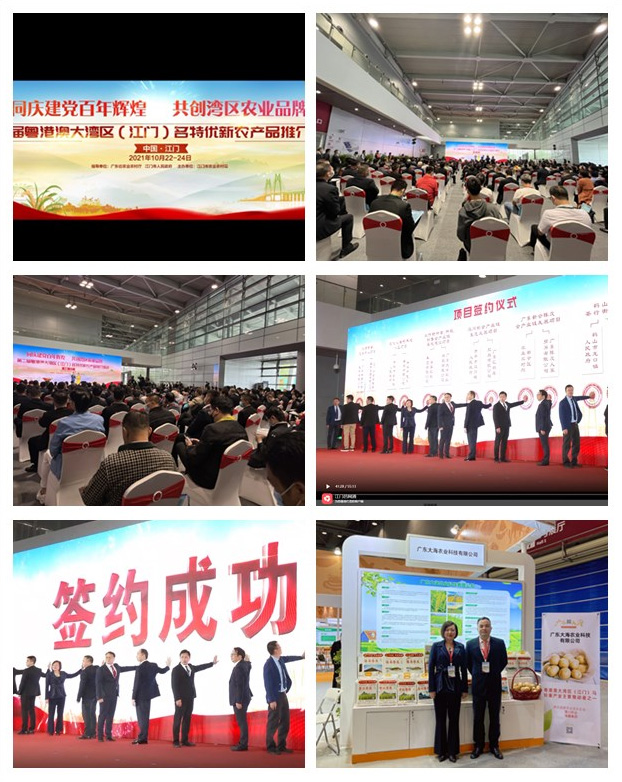 首页| PA视讯集团中国官方网站