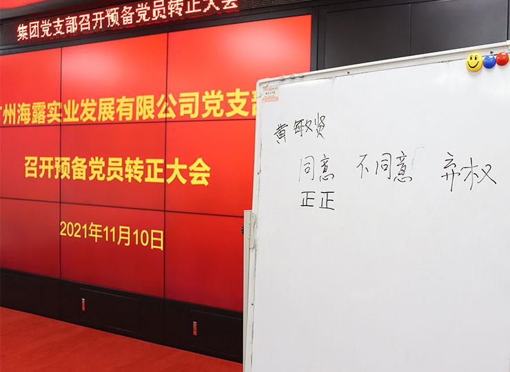 集团党支部召开准备党员转正大会 开展学习党史专题教育暨上党课活动