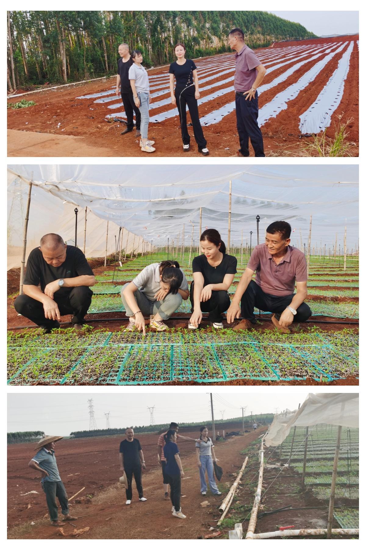 首页| PA视讯集团中国官方网站