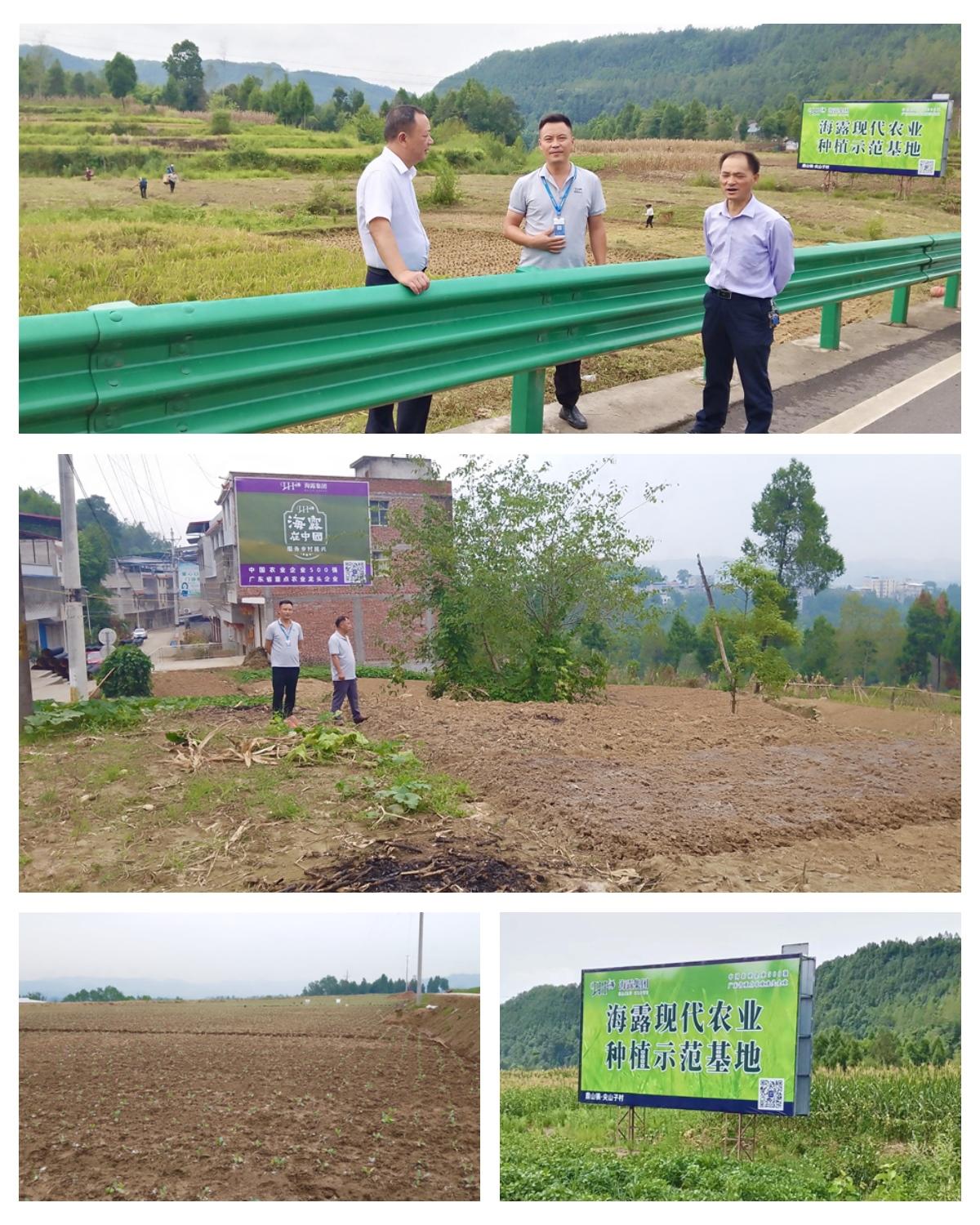 首页| PA视讯集团中国官方网站