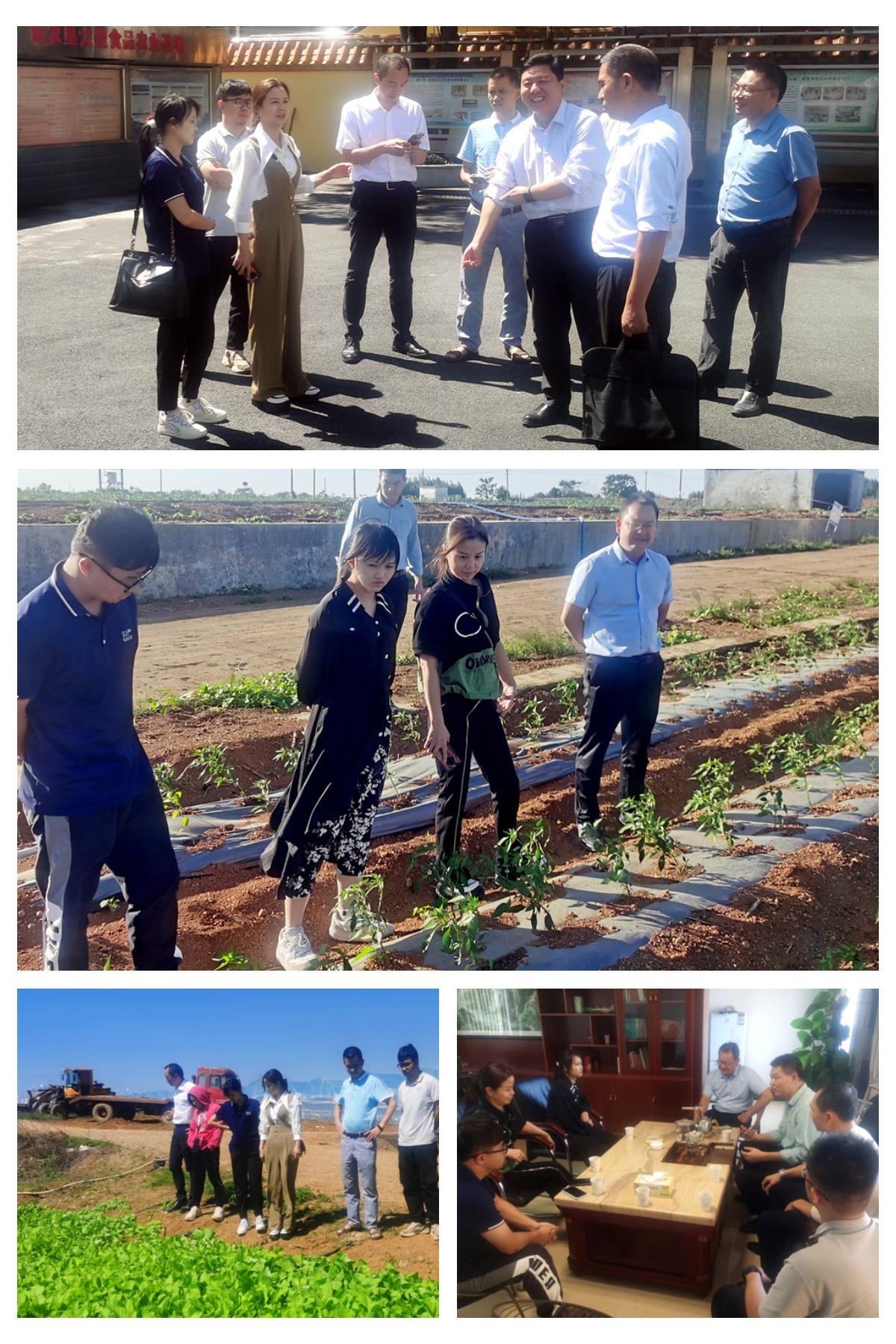 首页| PA视讯集团中国官方网站