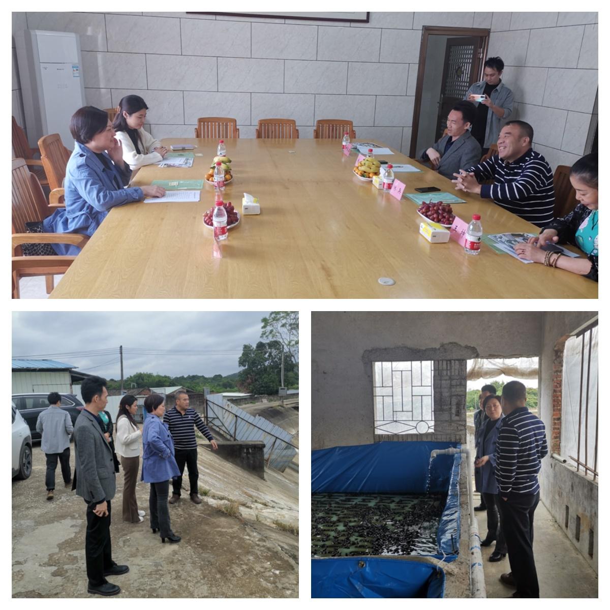 首页| PA视讯集团中国官方网站