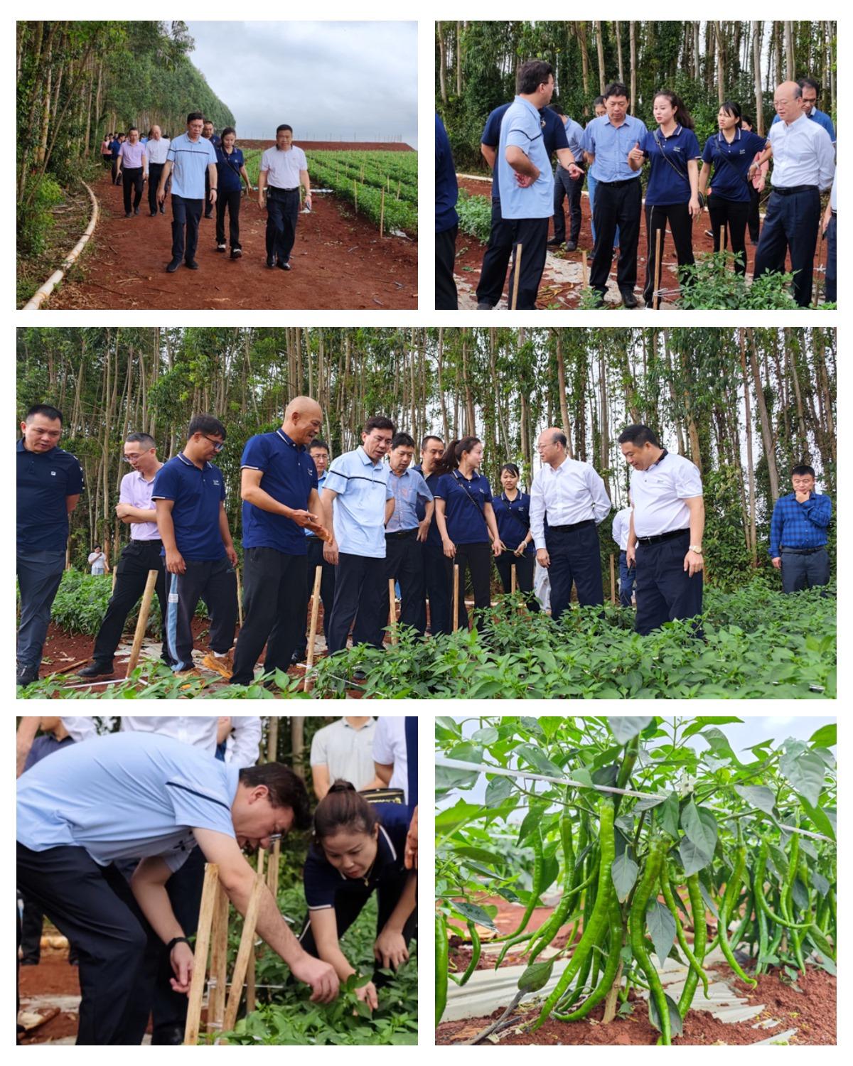 首页| PA视讯集团中国官方网站