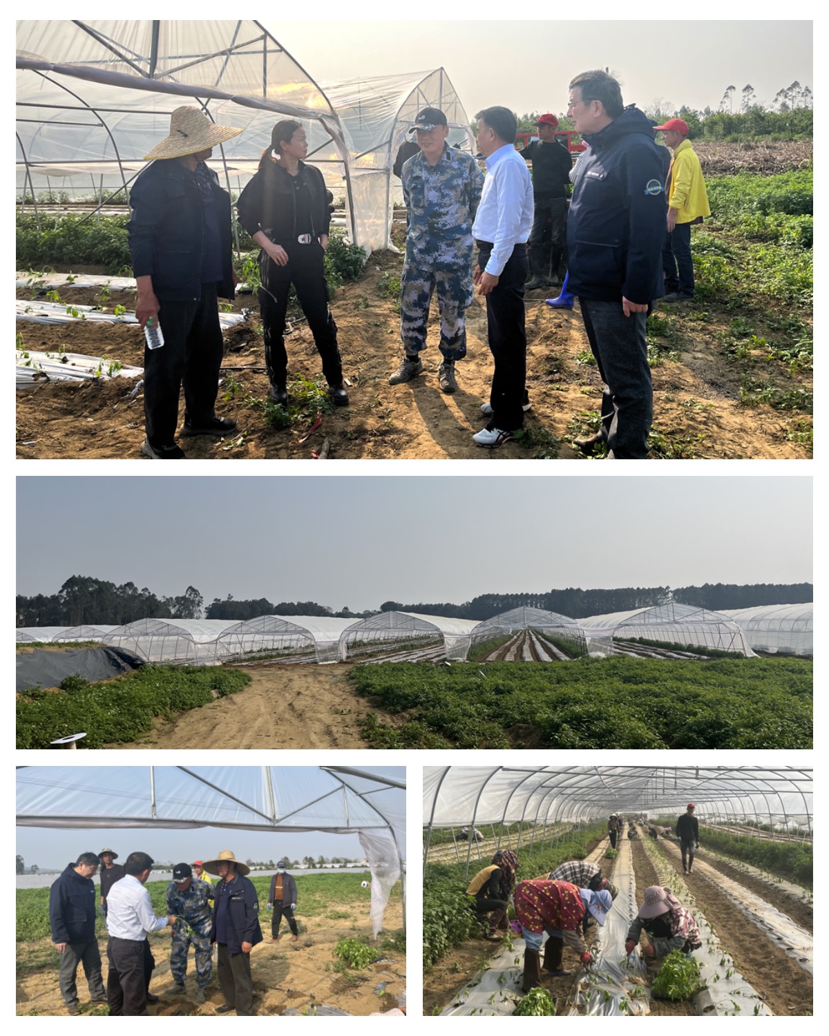 首页| PA视讯集团中国官方网站