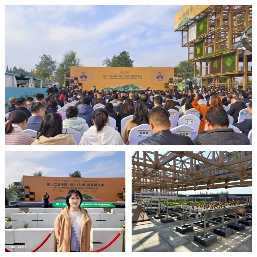 首页| PA视讯集团中国官方网站