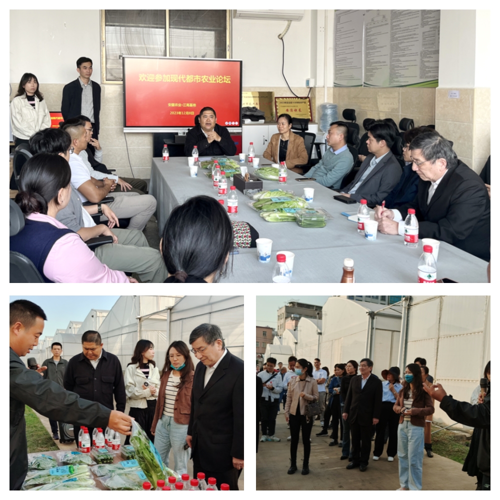 首页| PA视讯集团中国官方网站