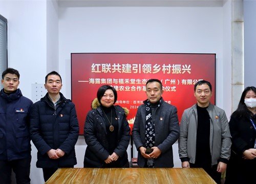 红联共建引领墟落振兴，党建促营业深度融合