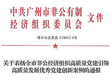集团党支部荣获广州市优异党建立异案例二等奖及优胜奖