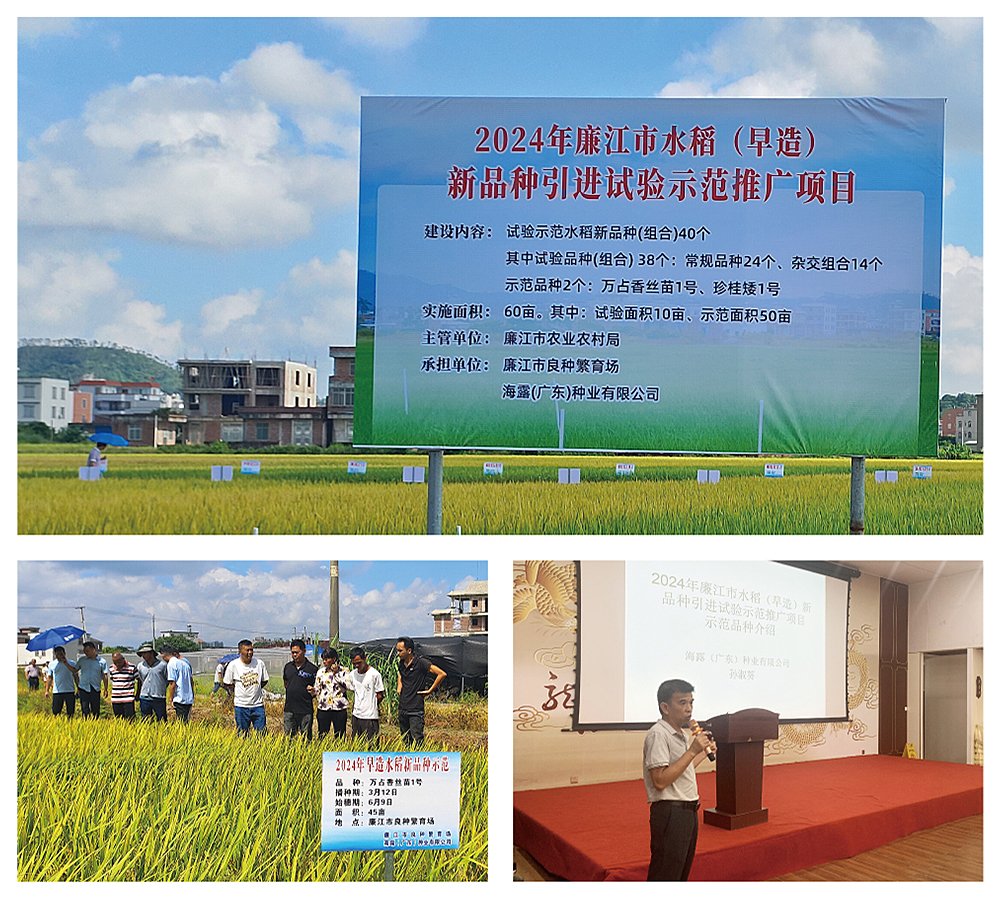 首页| PA视讯集团中国官方网站