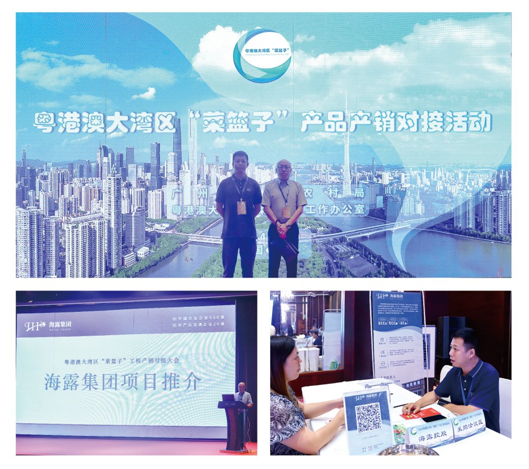 首页| PA视讯集团中国官方网站