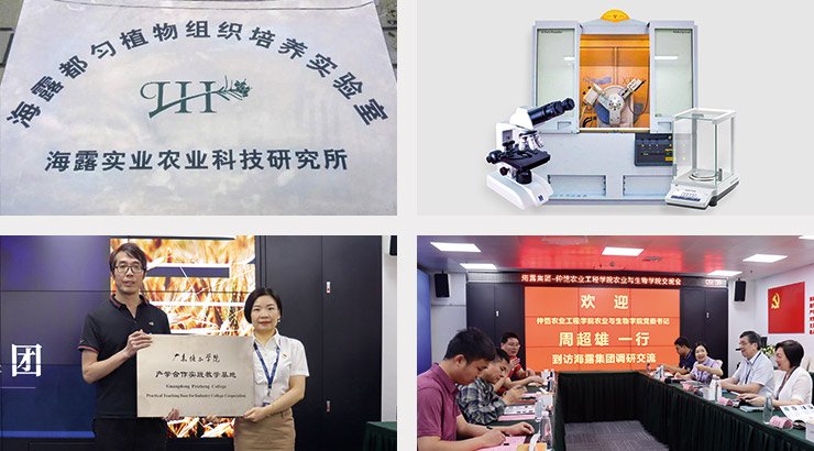 首页| PA视讯集团中国官方网站