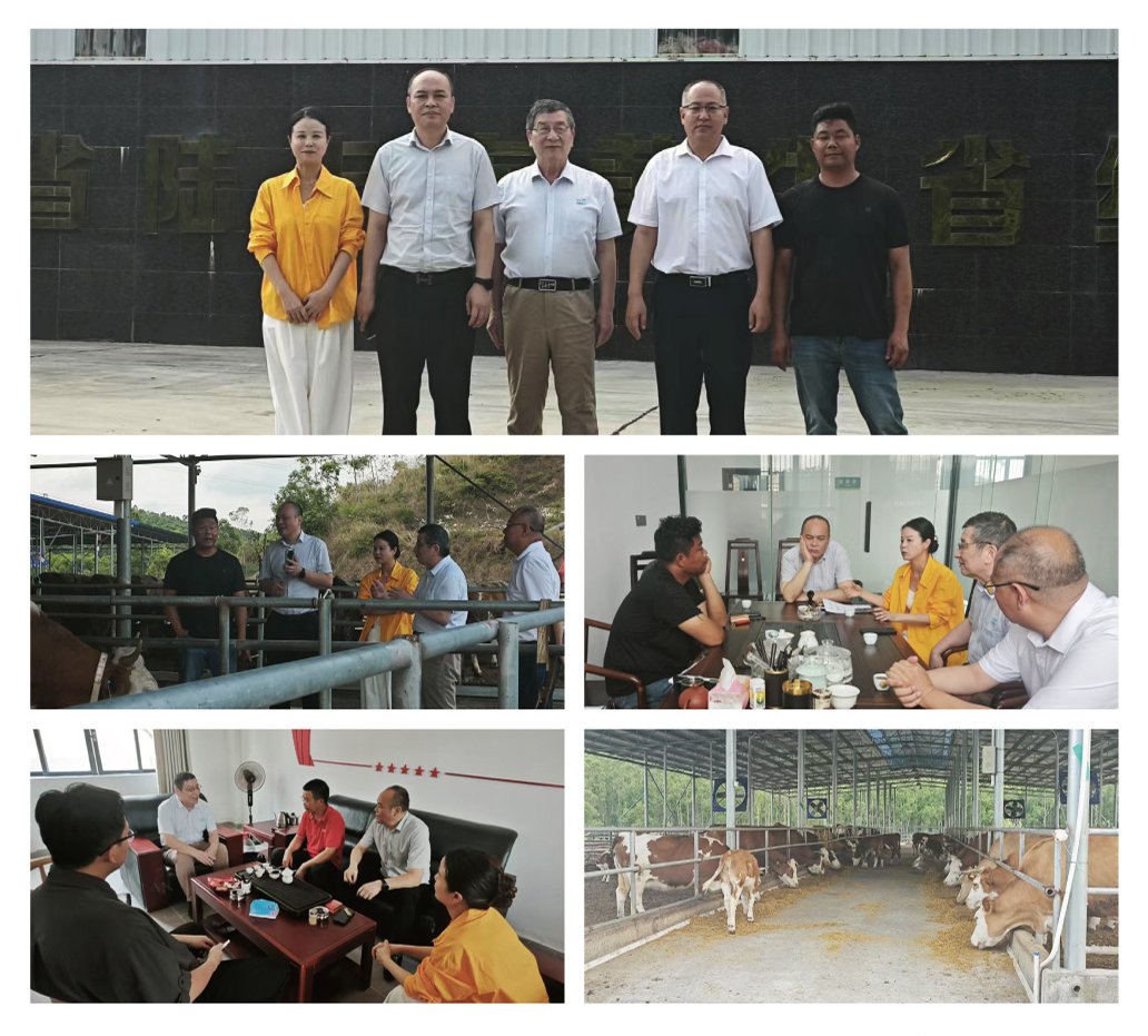 首页| PA视讯集团中国官方网站