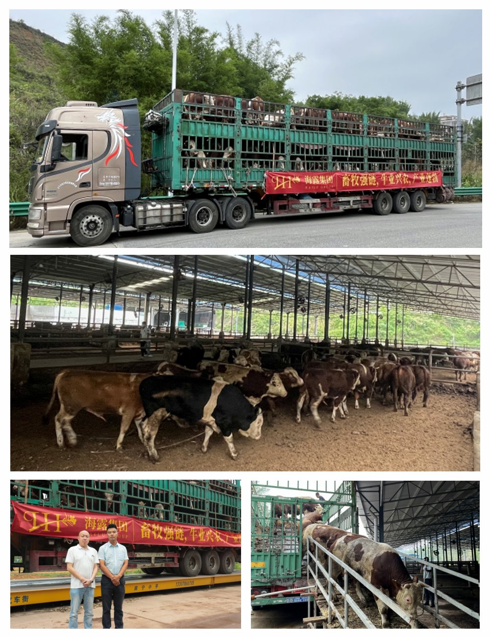 首页| PA视讯集团中国官方网站