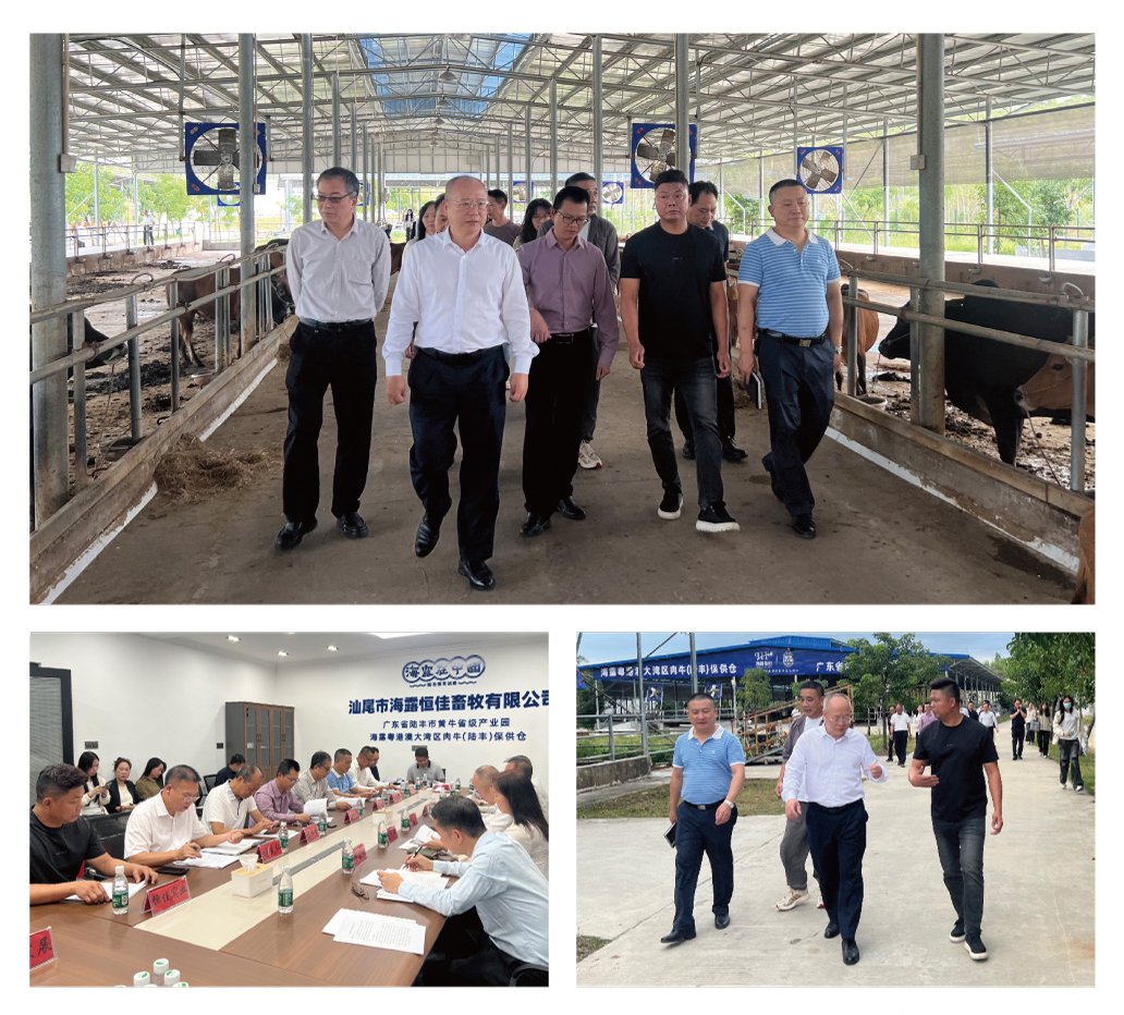 首页| PA视讯集团中国官方网站