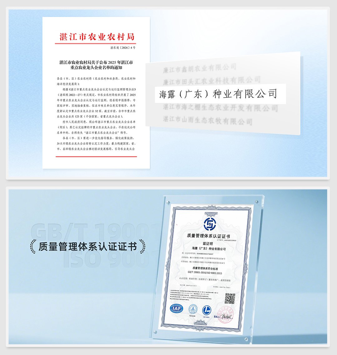 首页| PA视讯集团中国官方网站